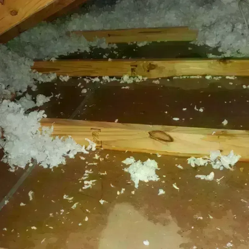 Attic Water Damage in Jackson County, AR