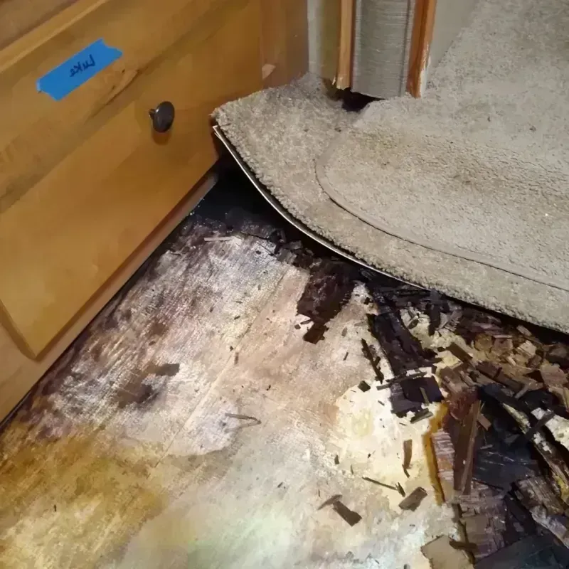 Wood Floor Water Damage in Jackson County, AR